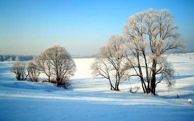 2 Winter Nature
