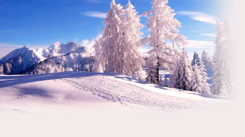 Snow And Winter Wallpaper